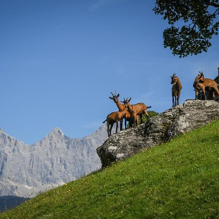 Willa Strickhof Schladming Zewnętrze zdjęcie