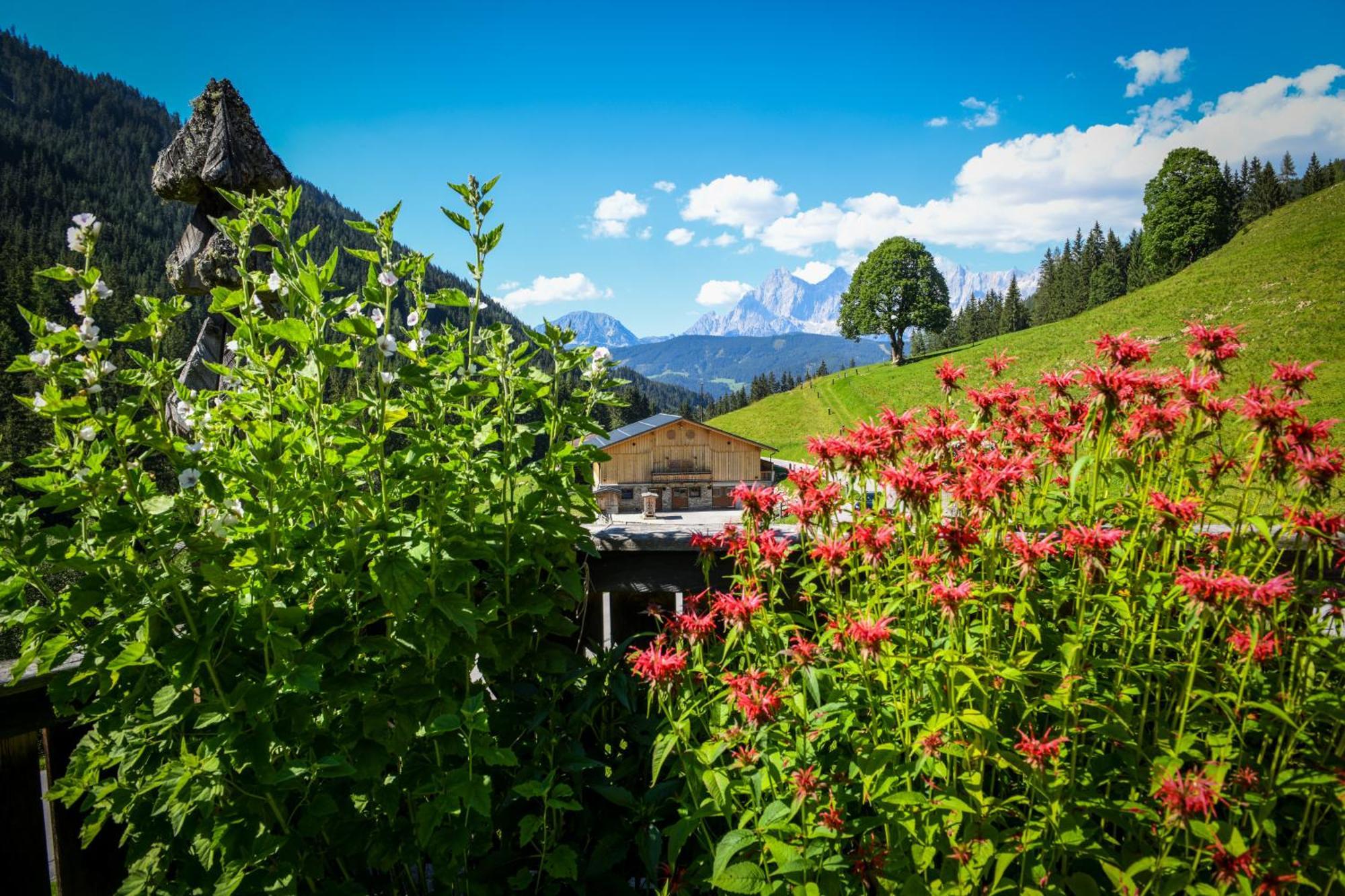 Willa Strickhof Schladming Zewnętrze zdjęcie