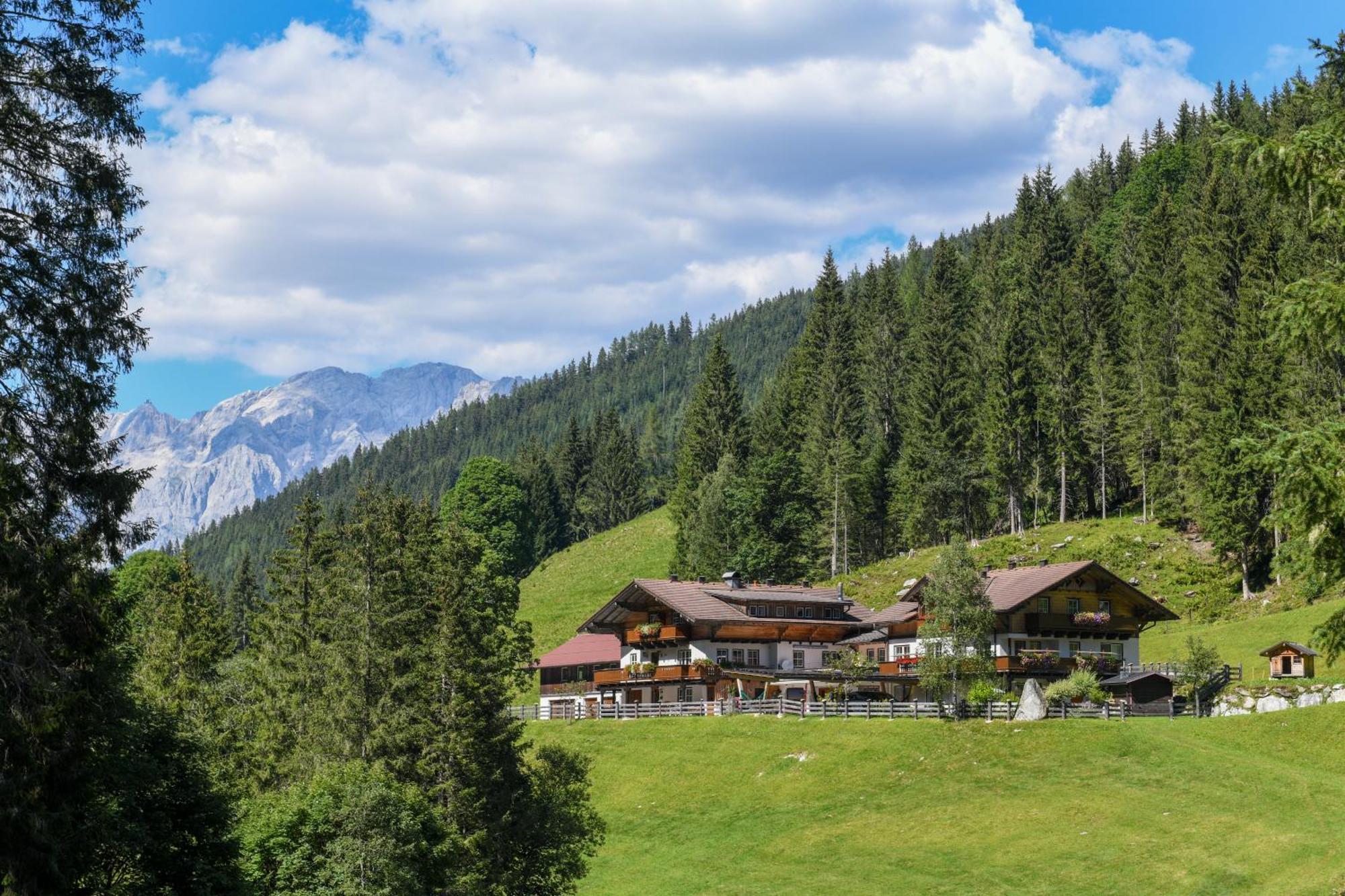 Willa Strickhof Schladming Zewnętrze zdjęcie